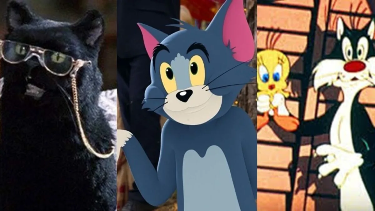 nome para gatos,
O guia Definitivo para nomear seu gato,
Gato no hall da fama,
Seu gato é puro charme,
jeitinho unico do seu gato,
docinhos para gatos,
Gatos cheios de fofura,
Salgados para gatos,
Gatos cheios de atitude,
bebida para gatos,
gatos sofisticados,
pelagem do seu gato,
gatos com postura divina,
escolher nomes para gatos,
nome para gato,