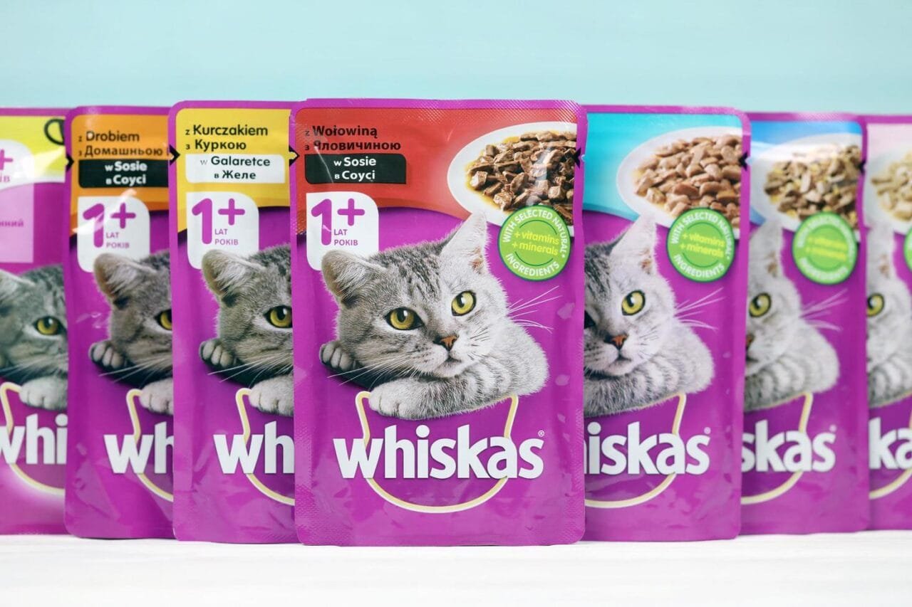 melhores rações para gatos
Rações para Gatos
Ração Ideal
Rações Secas
Rações Úmidas
Nutrição para Gatos